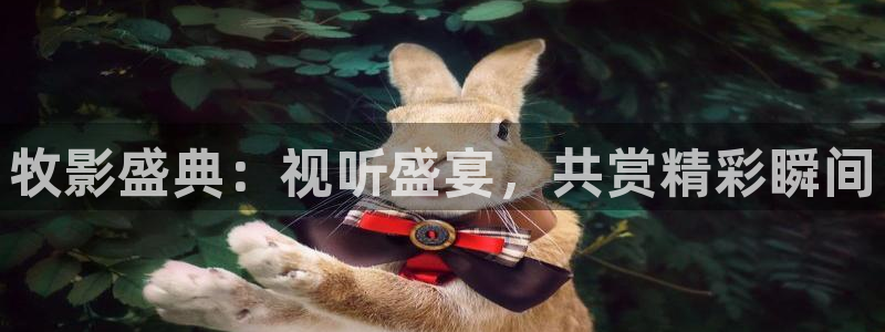 八戒影院理论片