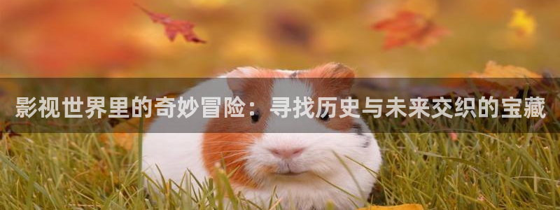 八戒八戒电影在线播放观看