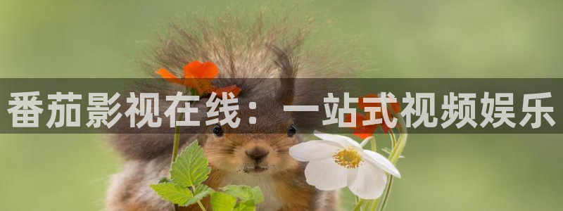 八戒八戒电影在线观看：番茄影视在线：一站式视频娱乐